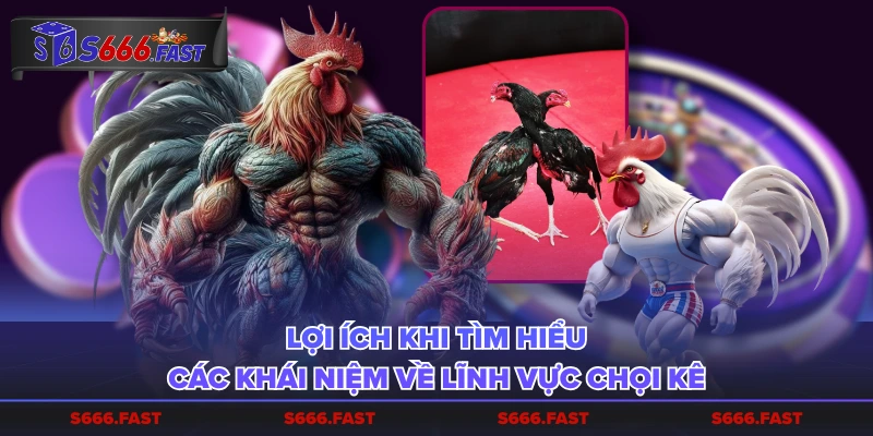 Lợi ích khi tìm hiểu các khái niệm về lĩnh vực chọi kê